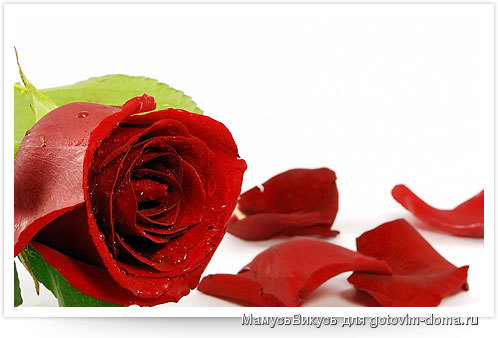roses (1).jpg
