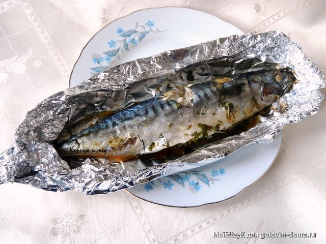 Скумбрия.jpg