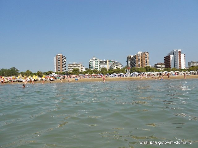 DSCN1508.JPG