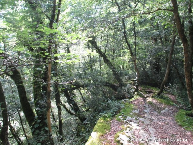 IMG_1995.JPG