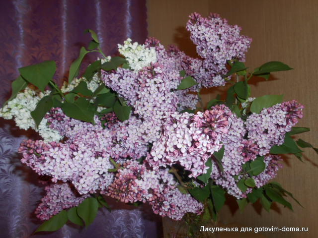 DSCN9317.JPG