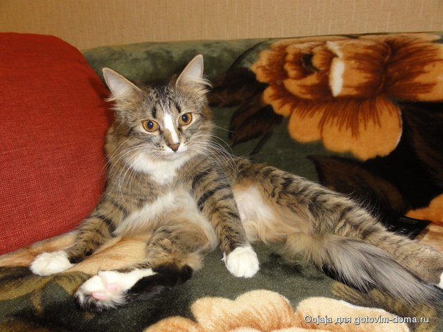 DSC01646.JPG