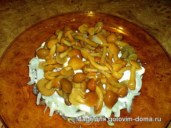 DSC01677.jpg