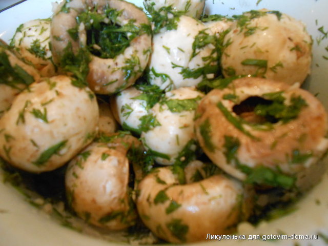 DSCN1406.jpg
