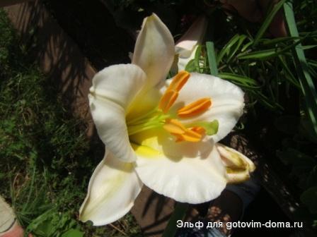 DSCF9383.JPG