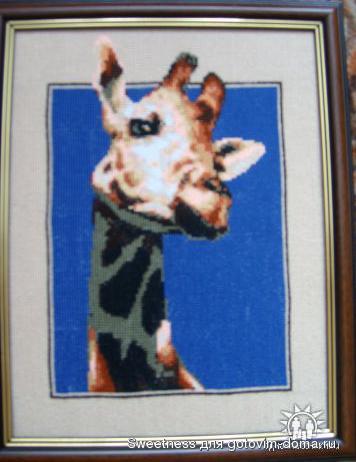 2.JPG