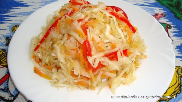 пестренький.JPG