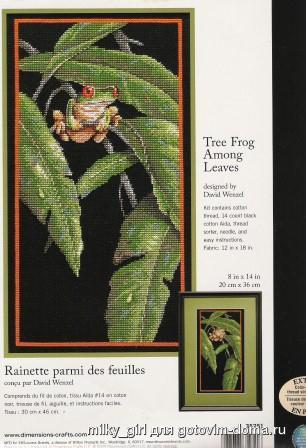 Dimensions 35251 Tree Frog Among Leaves.jpg
