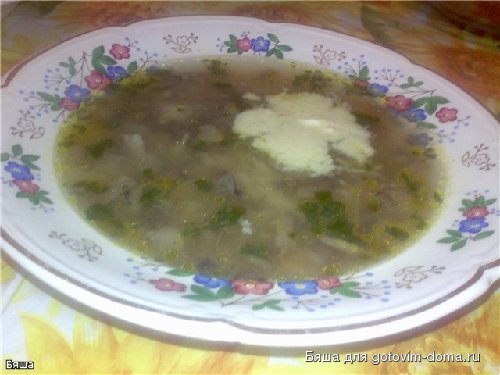 грибной.jpg