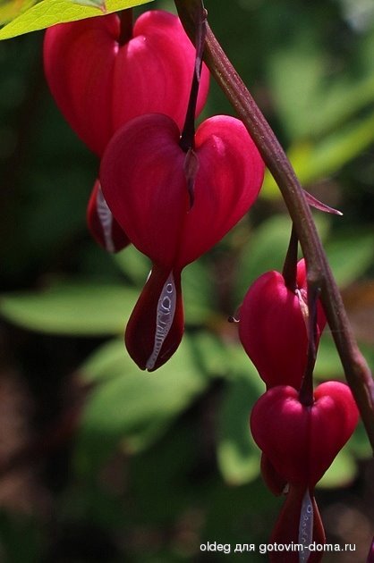 2013_05_05_0139.jpg