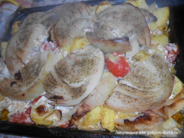 DSCN7357.JPG