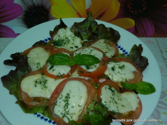 P1000519.jpg