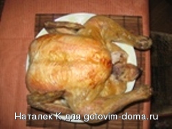 IMG_2598.jpg