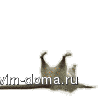 fc0b05812dc6528bf2fb94f23c9f690e.gif