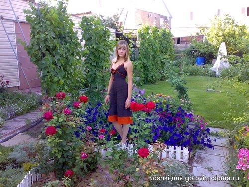 17072008918.jpg