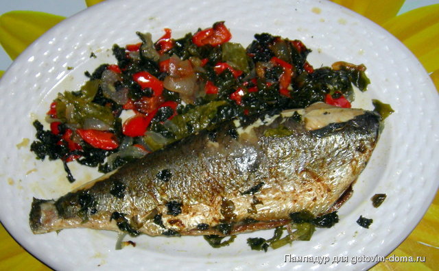 DSCN8936.JPG