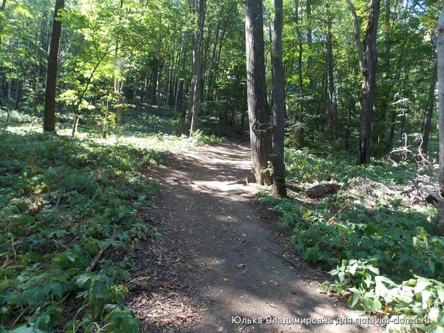 DSCN0016.jpg
