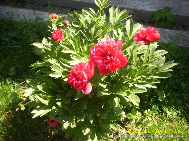 SPA59694.JPG