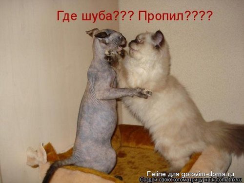 05.jpg