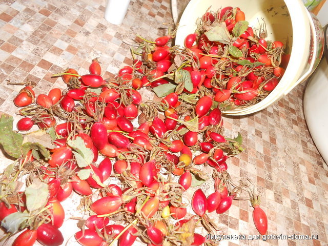 DSCN1855.JPG