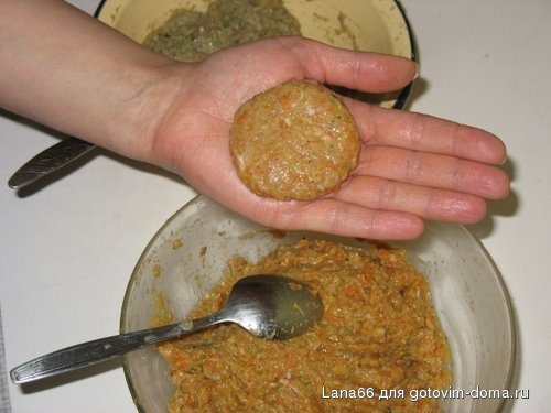 2h-cotlet2.jpg
