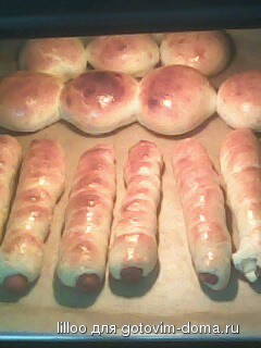 IMG0043A.jpg
