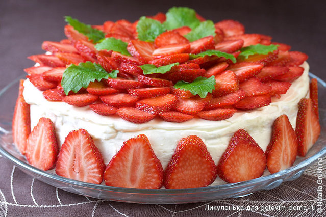 tort0_1_resize.jpg