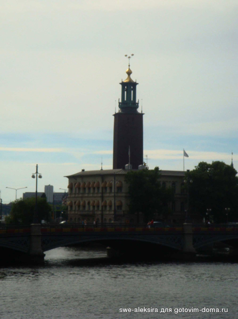 DSC05421.jpg