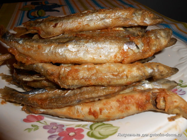 DSCN0340.JPG