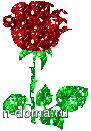 i253900405_61779_5.gif