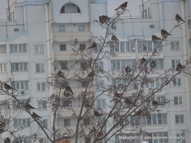 P1090054.JPG