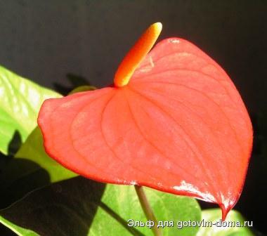 PICT0010.JPG