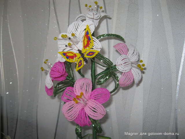 IMG_5450.jpg