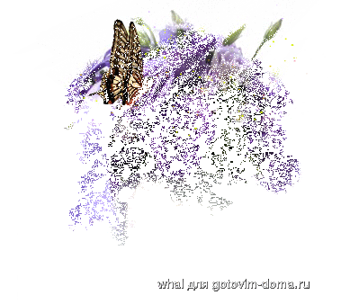 27.gif