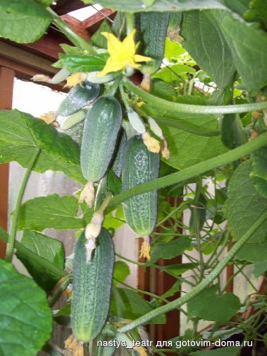 100_0749.jpg