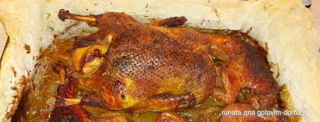 20201226_144257.jpg