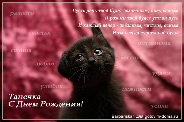 82430304_tane.jpg