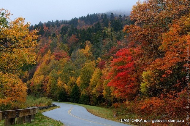 blue-ridge-parkway-10.jpg