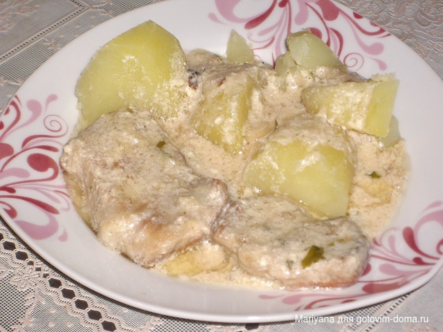 Шнельклопс.JPG