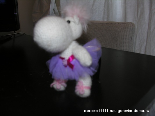 DSCN4203.JPG
