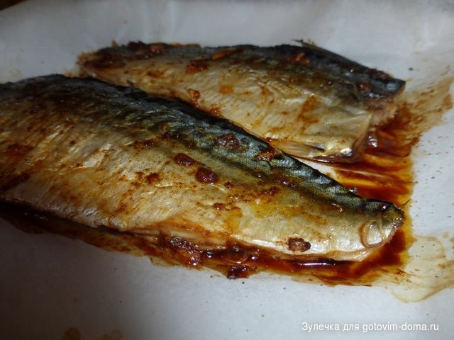 P1020715.JPG