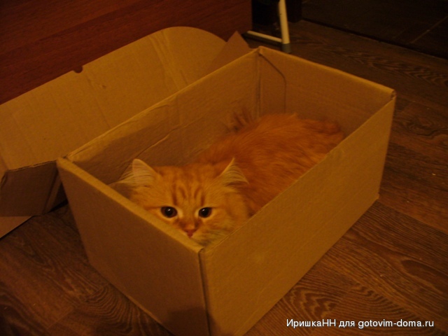 P1090391.JPG