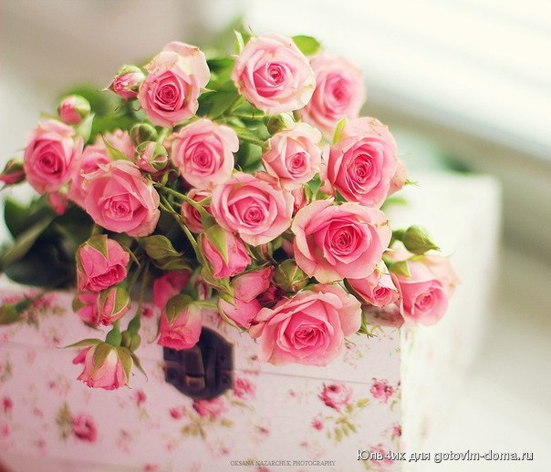 0_a5d74_df6491ee_XL.jpg