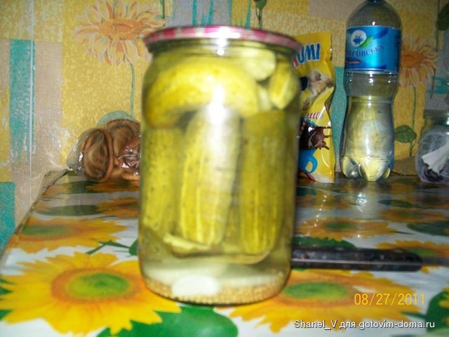100_1313.JPG
