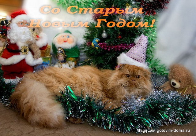 новогодний подарок.jpg