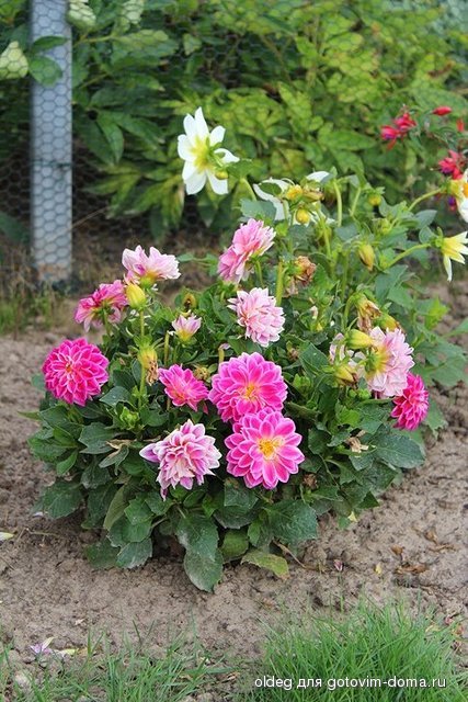 2013_08_11_1468.jpg