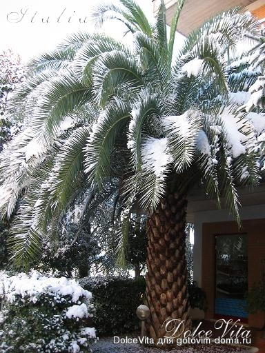06.JPG