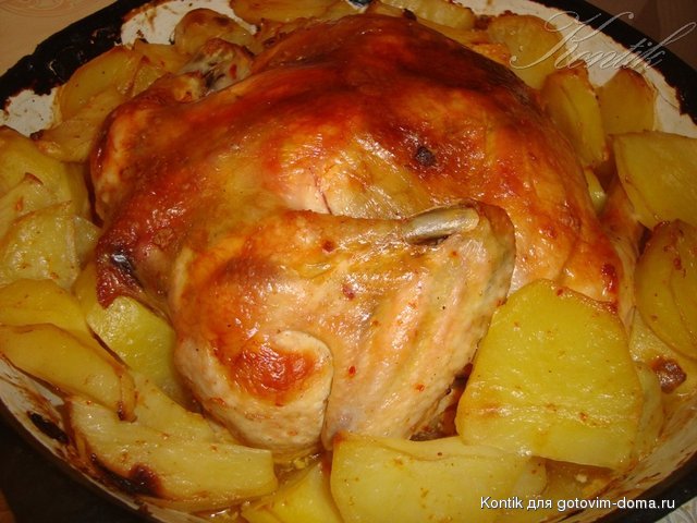 DSC04511.JPG