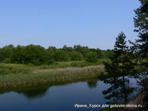 P1100816.JPG