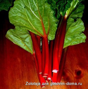 ревень-свойства-297x300.jpg